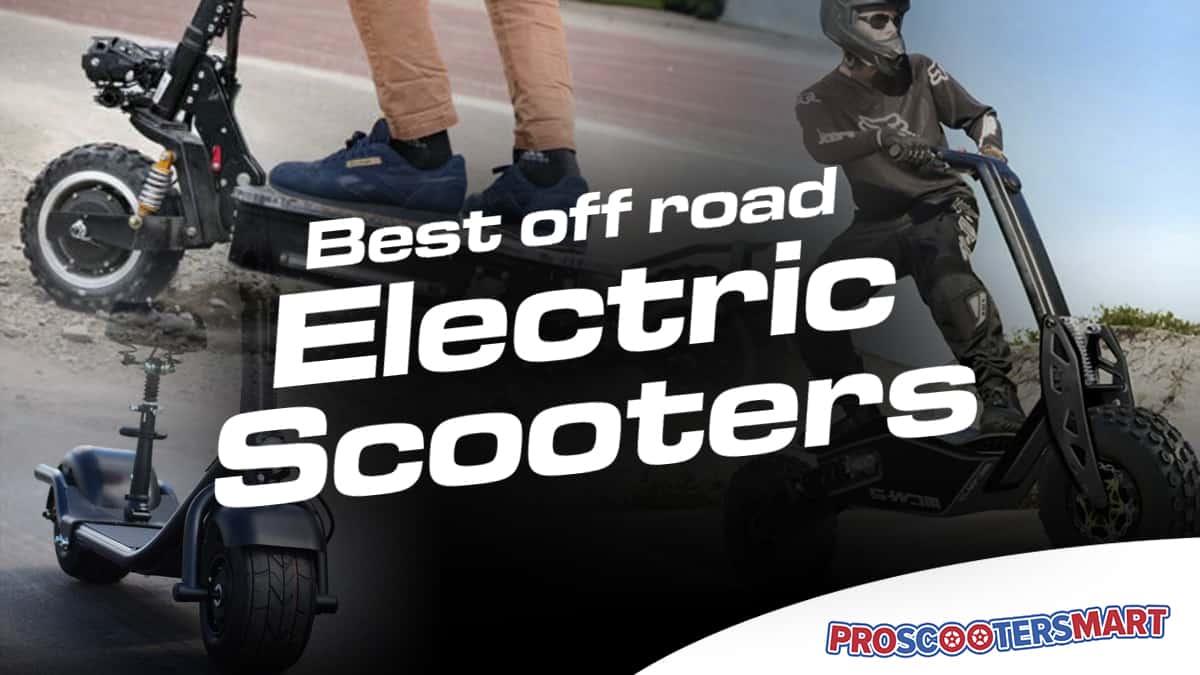 best off road electric scooter 2019