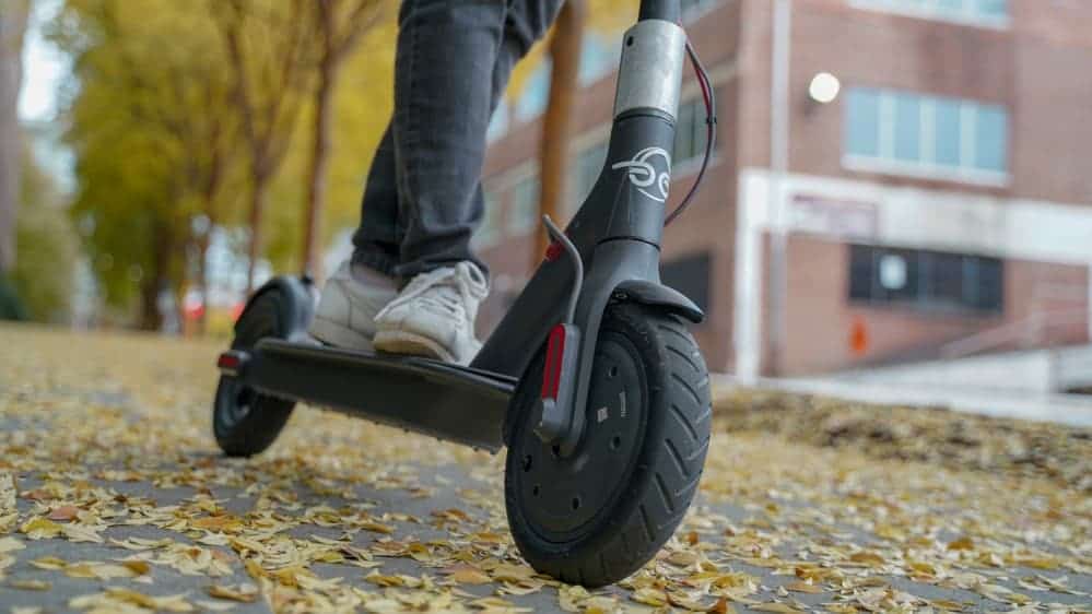 Can You Buy a Bird Scooter? ProScootersMart