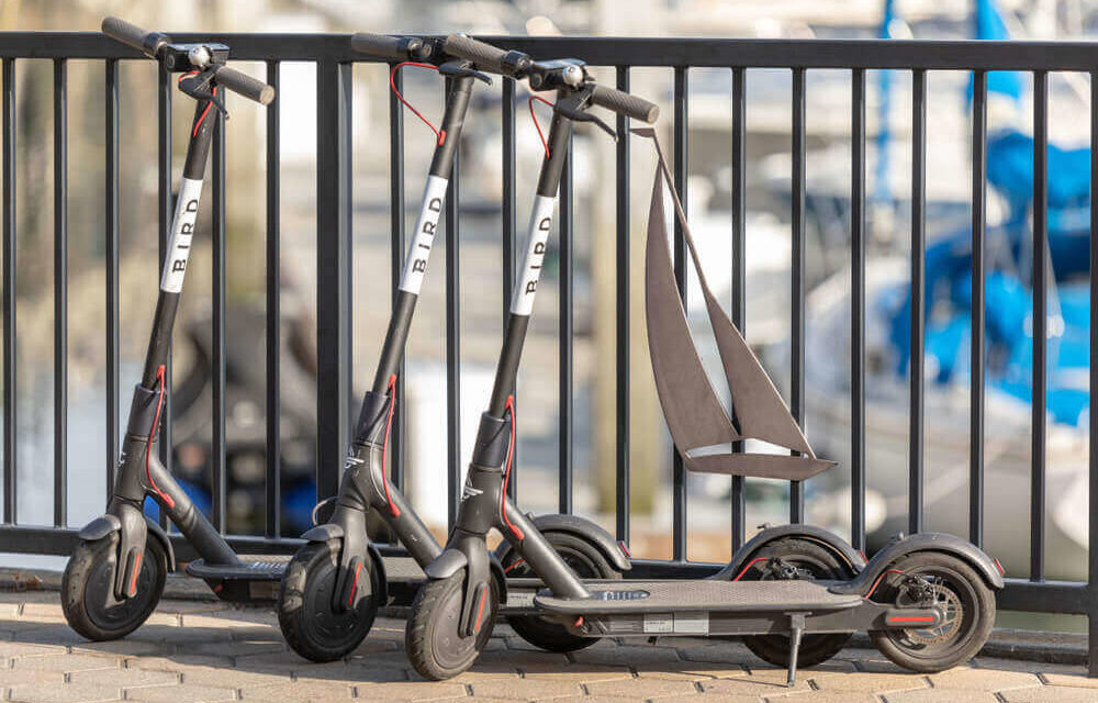 can you buy a bird scooter