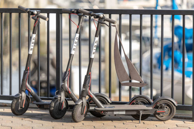 Can You Buy a Bird Scooter? ProScootersMart