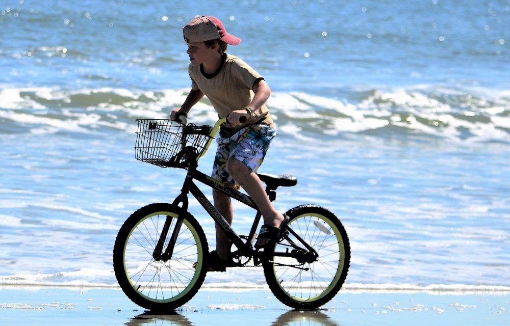 Best 20 Inch Bikes for Boys